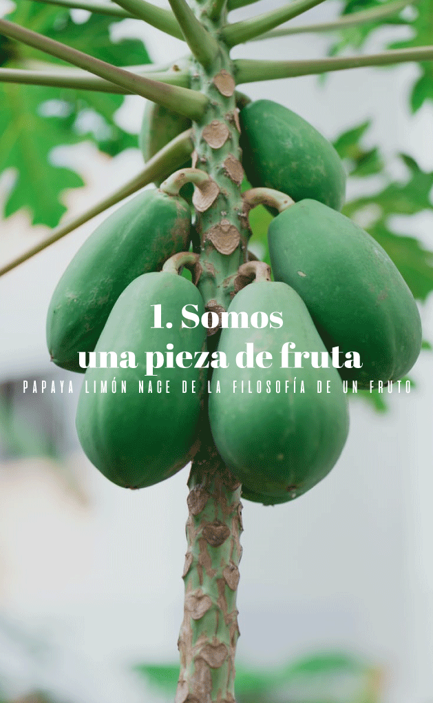 Manifiesto Papaya Limón